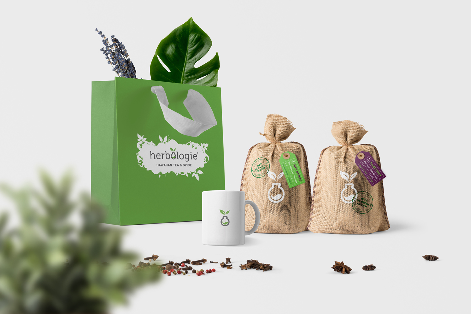 Herbologie Tea & Spice